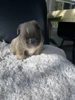 processed/43cb6a53-c776-4302-99dd-7b70c98a8c9e/listing/3f3a500a-c177-4605-bb11-c88ec2cc2c09/b5bdf4fa-ec25-4a84-971a-19ee637f6a77