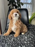 processed/43cb6a53-c776-4302-99dd-7b70c98a8c9e/listing/9f2c36f7-ee35-455b-8ade-ea3513987a14/2e59e483-7987-4583-ae2a-eaacfe652fdd