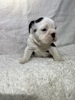 processed/43cb6a53-c776-4302-99dd-7b70c98a8c9e/listing/d843997a-b91c-4d23-811c-5a05af6da8b5/0ba17130-d89c-4772-be88-df3452a57780