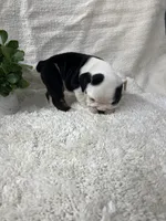 processed/43cb6a53-c776-4302-99dd-7b70c98a8c9e/listing/d843997a-b91c-4d23-811c-5a05af6da8b5/8a586040-b88b-457a-b5f6-145b2d7048e5