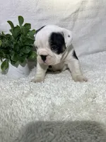 processed/43cb6a53-c776-4302-99dd-7b70c98a8c9e/listing/d843997a-b91c-4d23-811c-5a05af6da8b5/c3900f07-b21f-46ff-8467-c9147da86da4