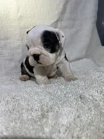 processed/43cb6a53-c776-4302-99dd-7b70c98a8c9e/listing/d843997a-b91c-4d23-811c-5a05af6da8b5/ca8dd1a9-6494-45c3-a949-9bcc269237ed