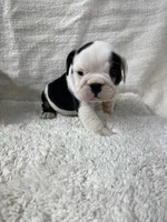 processed/43cb6a53-c776-4302-99dd-7b70c98a8c9e/listing/d843997a-b91c-4d23-811c-5a05af6da8b5/cca75d4e-fe3f-408a-9ab6-1de02ad290e1