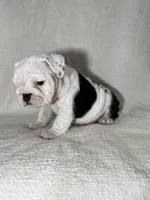 processed/43cb6a53-c776-4302-99dd-7b70c98a8c9e/listing/dc0ef500-27b7-465e-840e-2138a0b4efb9/c18d9f67-9ceb-4c86-a5b4-55778ba07a6e