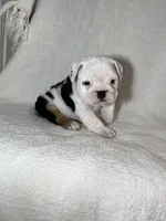 processed/43cb6a53-c776-4302-99dd-7b70c98a8c9e/listing/dc0ef500-27b7-465e-840e-2138a0b4efb9/f6a4d982-0256-4973-b35d-217be88f088d