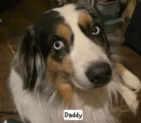 processed/43cb937e-ff2f-4a14-a7c4-1d84994413d0/listing/439db654-2ce0-4547-8bbc-e27cbe6d15d2/e7f53c2c-f5d5-42e5-9bce-4d1432a91e65