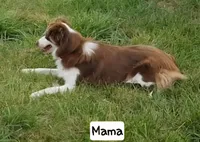 processed/43cb937e-ff2f-4a14-a7c4-1d84994413d0/listing/91000779-8bfa-4f98-b2d6-16ef494ea203/382970d0-07d7-492f-b304-85e3379517cc