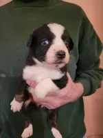 processed/43cb937e-ff2f-4a14-a7c4-1d84994413d0/listing/91000779-8bfa-4f98-b2d6-16ef494ea203/7c4bbe18-f561-43b7-a2ed-783cc769d9b2