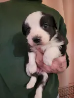 processed/43cb937e-ff2f-4a14-a7c4-1d84994413d0/listing/a871fab8-20d3-42c5-932d-e03cd48b8f37/a023f5ed-9fcf-4dd1-9c80-cd5dbffaa617