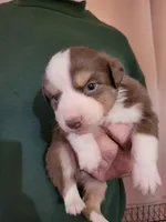 processed/43cb937e-ff2f-4a14-a7c4-1d84994413d0/listing/d1bae85e-59bf-4f1e-a2e6-3b437a76f9e1/13ac75b9-a0d7-4fd2-b465-0a76327dec5e