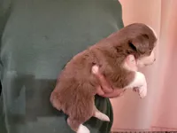 processed/43cb937e-ff2f-4a14-a7c4-1d84994413d0/listing/d1bae85e-59bf-4f1e-a2e6-3b437a76f9e1/4dd420e4-9710-48ed-81fd-cdbc905caf0a