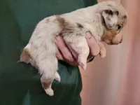 processed/43cb937e-ff2f-4a14-a7c4-1d84994413d0/listing/e913d216-e696-4853-98fb-627db76d8419/889548dd-bbfe-480e-9785-3020f4bc5bfa