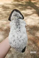 Gray Collar, a male German Shorthaired Pointer for sale in Capron, VA – Photo 2 of 2