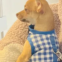 processed/43ed88d6-3441-4a0e-908f-464ef40f3b94/facility/78ff5a15-7e28-4f39-9432-816e9d871e44