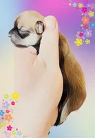 processed/43ed88d6-3441-4a0e-908f-464ef40f3b94/facility/87dc12e2-b5c1-457c-ac9a-82a789485f7d