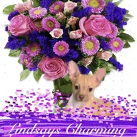 processed/43ed88d6-3441-4a0e-908f-464ef40f3b94/facility/8b9dcc6d-f148-48e9-800e-891dfc2ebf58