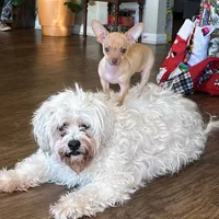 processed/43ed88d6-3441-4a0e-908f-464ef40f3b94/facility/8cb2e7e3-88fc-475a-bab9-4a7792803455