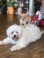 processed/43ed88d6-3441-4a0e-908f-464ef40f3b94/facility/8cb2e7e3-88fc-475a-bab9-4a7792803455