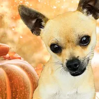 processed/43ed88d6-3441-4a0e-908f-464ef40f3b94/facility/a83db1de-33ad-48e3-ada1-7a629b958d44