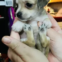 processed/43ed88d6-3441-4a0e-908f-464ef40f3b94/facility/bfa1cd71-ca1e-4c27-aa57-d2998bc44a92