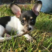 processed/43ed88d6-3441-4a0e-908f-464ef40f3b94/facility/dca218b2-cc1c-4e2c-ac03-f4ce7a49a494