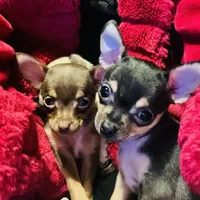 processed/43ed88d6-3441-4a0e-908f-464ef40f3b94/facility/e3db1f9d-8dd8-4941-8bc0-cc0745cd0303