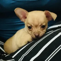 processed/43ed88d6-3441-4a0e-908f-464ef40f3b94/facility/e9a999ff-c8c0-489e-8cbf-51575bbcdb19