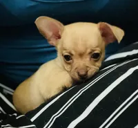 processed/43ed88d6-3441-4a0e-908f-464ef40f3b94/facility/e9a999ff-c8c0-489e-8cbf-51575bbcdb19