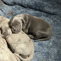 processed/43ee5660-7212-4798-a7ad-1437db148b48/facility/1e549e6b-fd9e-4789-99c6-e606fd60c83e