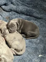 processed/43ee5660-7212-4798-a7ad-1437db148b48/facility/1e549e6b-fd9e-4789-99c6-e606fd60c83e