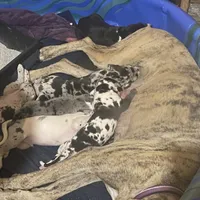 processed/43ee5660-7212-4798-a7ad-1437db148b48/facility/4d5bbe94-280e-4613-9854-144d6324217f