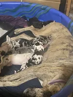 processed/43ee5660-7212-4798-a7ad-1437db148b48/facility/4d5bbe94-280e-4613-9854-144d6324217f