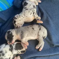 processed/43ee5660-7212-4798-a7ad-1437db148b48/facility/649c27f8-f36b-4c57-a70f-302c2d1ee927