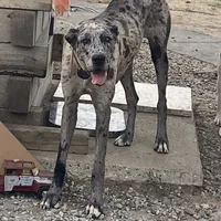 processed/43ee5660-7212-4798-a7ad-1437db148b48/facility/9a944229-115e-462a-8e25-9be8e74b0438