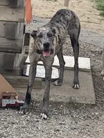 processed/43ee5660-7212-4798-a7ad-1437db148b48/facility/9a944229-115e-462a-8e25-9be8e74b0438