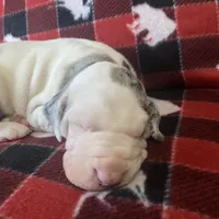 processed/43ee5660-7212-4798-a7ad-1437db148b48/facility/9d497dc8-c229-4380-a639-97432ce1a13c