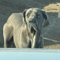 processed/43ee5660-7212-4798-a7ad-1437db148b48/facility/a23d88e7-bb1a-47c5-afa9-a8a5c3cea8e7