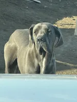 processed/43ee5660-7212-4798-a7ad-1437db148b48/facility/a23d88e7-bb1a-47c5-afa9-a8a5c3cea8e7