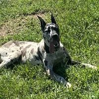 processed/43ee5660-7212-4798-a7ad-1437db148b48/facility/a2d421a8-d45e-40f6-ada8-9415078f6a6e