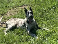 processed/43ee5660-7212-4798-a7ad-1437db148b48/facility/a2d421a8-d45e-40f6-ada8-9415078f6a6e