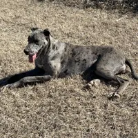 processed/43ee5660-7212-4798-a7ad-1437db148b48/facility/bb92a6ca-ecae-4d33-a56f-ebcaf90fcd0c