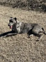 processed/43ee5660-7212-4798-a7ad-1437db148b48/facility/bb92a6ca-ecae-4d33-a56f-ebcaf90fcd0c