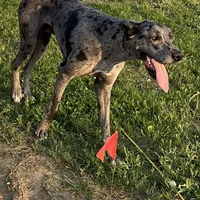 processed/43ee5660-7212-4798-a7ad-1437db148b48/facility/cbe71a42-4c5c-4df6-8245-a98e8c3d1858