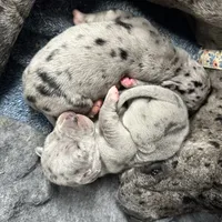 processed/43ee5660-7212-4798-a7ad-1437db148b48/facility/e8521b87-fbc4-441a-b3e2-df34823a403d