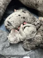 processed/43ee5660-7212-4798-a7ad-1437db148b48/facility/e8521b87-fbc4-441a-b3e2-df34823a403d