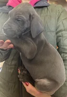 processed/43ee5660-7212-4798-a7ad-1437db148b48/listing/74a97f4b-9c49-4233-99b6-b36c20b80a00/0c0da192-5dea-4bfc-a479-d2df1bcb8183