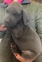 processed/43ee5660-7212-4798-a7ad-1437db148b48/listing/74a97f4b-9c49-4233-99b6-b36c20b80a00/20d63b05-e653-4e42-8aaf-ac015d3ad735