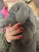 processed/43ee5660-7212-4798-a7ad-1437db148b48/listing/74a97f4b-9c49-4233-99b6-b36c20b80a00/495a66e3-47f9-49a5-8021-bf20997880a3