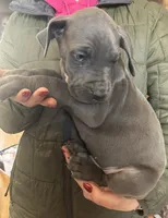 processed/43ee5660-7212-4798-a7ad-1437db148b48/listing/74a97f4b-9c49-4233-99b6-b36c20b80a00/5485b6aa-c894-43cf-b367-c3406dd09fc0