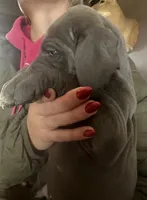 processed/43ee5660-7212-4798-a7ad-1437db148b48/listing/74a97f4b-9c49-4233-99b6-b36c20b80a00/907a9813-3493-4480-a13a-7cb8c48c17c6